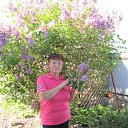 ���� �����, �������, 66 ��� - ��������� 1 ���� 2023