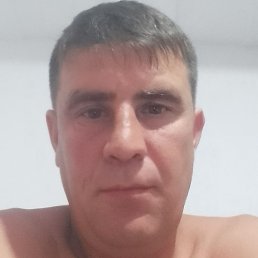 ����, �������, 41 ���