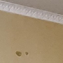 ������, ������, 62 ����