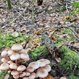 ���� �������, ������, 61 ��� - ��������� 27 �������� 2023