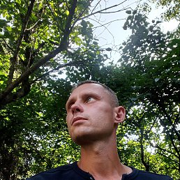 ����, �����-���������, 37 ���