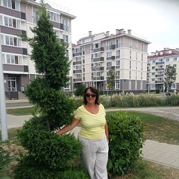 ��������, ����, 55 ���