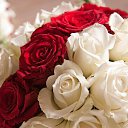 ���� �����, ������ ��������, 72 ���� - ��������� 3 ����� 2023