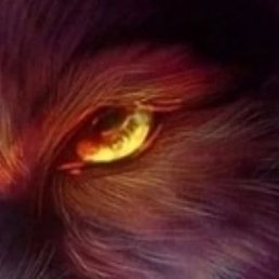 �����, ����������, 54 ����