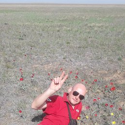 ���� ����, ������, 42 ���� - ��������� 17 ��� 2023