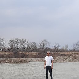 Ed, ���������, 40 ���