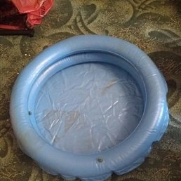 �����, ��������, 31 ���