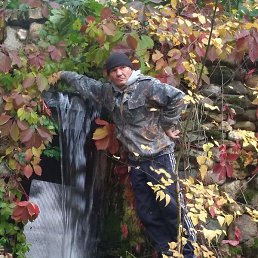 ����, ������, 52 ����