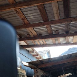 ���� �����, �����������, 39 ��� - ��������� 25 ���� 2023