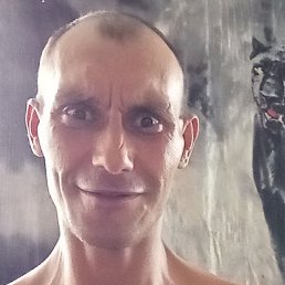 �������, ������, 45 ���