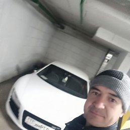 �����, ������, 37 ���