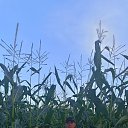 ���� �����, ���������, 34 ���� - ��������� 23 ������� 2023 � ������ ���� ����������