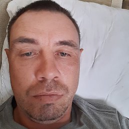 �����, �����������, 43 ����