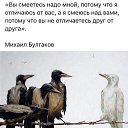 ���� ����, ���������, 42 ���� - ��������� 3 ��� 2023 � ������ ������ ��������