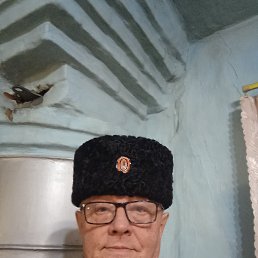 ���� �����, ������, 67 ��� - ��������� 18 ������ 2023