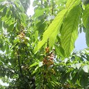 ���� Ded, ������, 59 ��� - ��������� 2 ���� 2023 � ������ ���� ����������