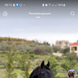 Orzu, �����, 31 ���