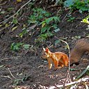 ���� ������, ������, 23 ���� - ��������� 10 �������� 2023 � ������ ���� ����������