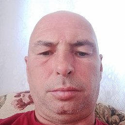 �����, ������, 49 ���