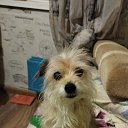 ���� ����, ������������, 69 ��� - ��������� 11 ���� 2023