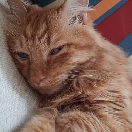 Name, ����������, 20 ���