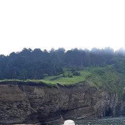 �������, ������, 51 ���