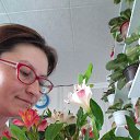 ���� �������, ��������� - ��������� 28 �������� 2023 � ������ ���� ����������