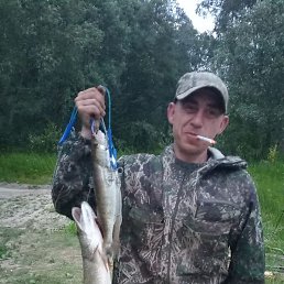 �������, ������, 39 ���