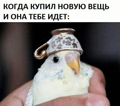    - 13  2023  00:20