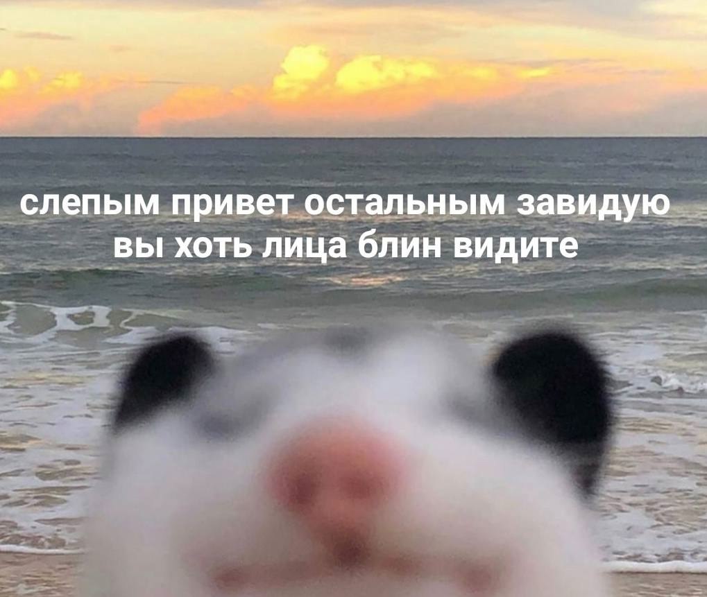    - 27  2023  13:25