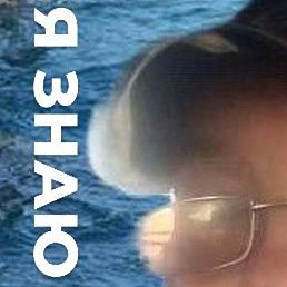 ��������, ���������, 59 ���