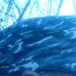 ���������, ������-��-����, 65 ���