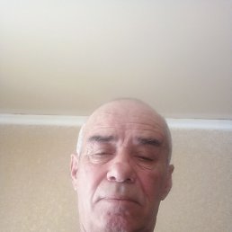 ����, ���������, 66 ���