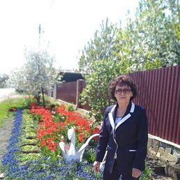 ������, ������, 70 ���