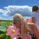 ���� ��������, �����-���������, 44 ���� - ��������� 22 �������� 2023 � ������ ������� ߻