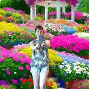 ���� ����, �����������, 51 ��� - ��������� 29 ���� 2023