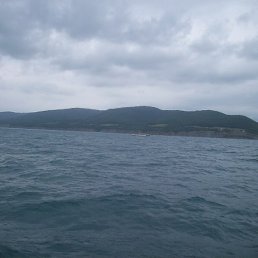 �����, ������, 57 ���