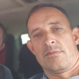 ����, ��������, 45 ���