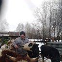 ���� ����, �����, 55 ��� - ��������� 15 ����� 2023