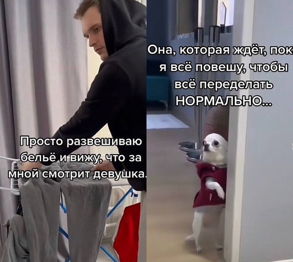 ,   !  !
