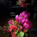 ���� ������, �����, 42 ���� - ��������� 14 ������ 2023 � ������ ������ ��������