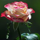 ���� ����, ������� - ��������� 28 ������ 2023