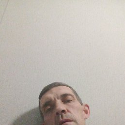 �����, ������, 49 ���