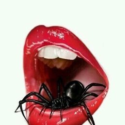 �������, ������, 40 ���