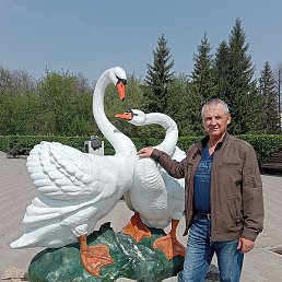, , 66 
