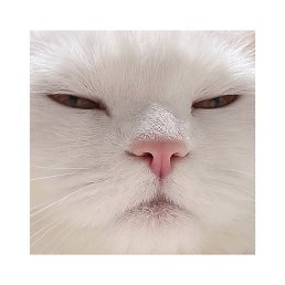 ����, ����, 41 ���