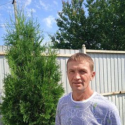 ���� �������, �����, 43 ���� - ��������� 28 ���� 2023