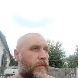 ������, �������, 44 ����