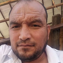 ��������, �������, 43 ����