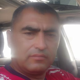 ����, �����, 46 ���